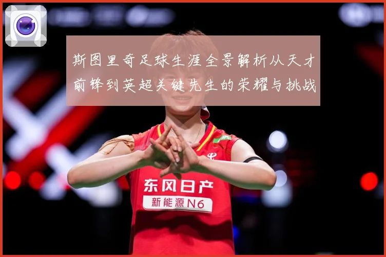 斯图里奇足球生涯全景解析从天才前锋到英超关键先生的荣耀与挑战-深度解析